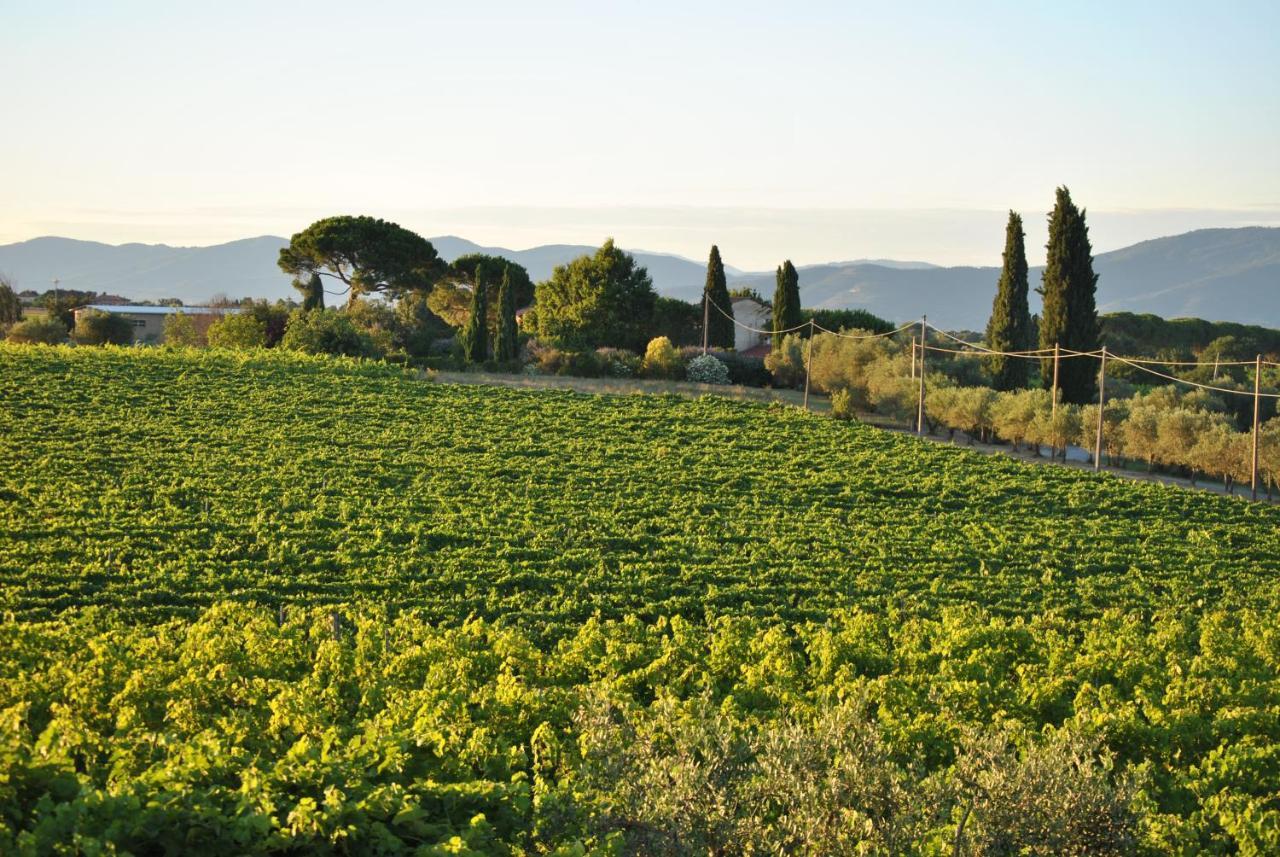 Villa La Valiana - Full Estate In Montepulciano - Heated Pool Valiano Εξωτερικό φωτογραφία